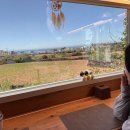 코지펜션 민박 | 제주 동쪽 월정리 숙소 추천! 감성 독채 ‘달나비 민박’ + 현지인 강추 초밥공장 스시 맛집 후기