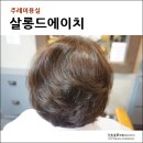 살롱드에이치 이미지