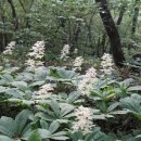 2013060 네이버블로그
