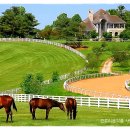 Beautiful Moon Of Kentucky/Jim &amp; Jesse 이미지