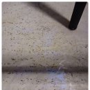 크린홈케어 이미지