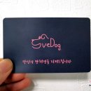 세이브독 이미지