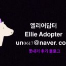 더마더메이드