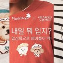 클로젯 이미지