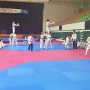 한국대학태권도연맹 (국가대표) 시범단 "3명 선발" 이미지