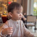 자작나무어린이집 | 2세 어린이집 생일선물 답례품 올바름 자일리톨 사탕 선물