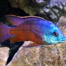 임프레스 이미지