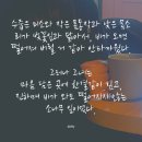 네일,물들다