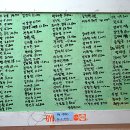 통큰딱따구리 이미지