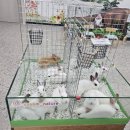 다솜 | 청도 다솜생태체험관(다솜생태관) 후기 | 아이와 가볼 만한 곳