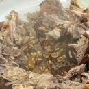 석곡오리촌 이미지