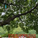 남희사 | 지리산 성모상 기도후기