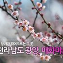 2013년 봄꽃 축제 이미지