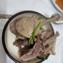 양평 애견동반 식당 용문산 황해식당 후기