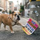 상상부동산공인중개사사무소 이미지