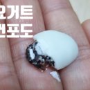 달콤한한줌 이미지