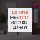 LG T875MEE1111 냉장고 후기 실사용 감