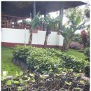 산호세 농장 이미지