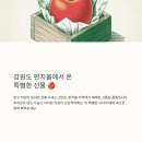 양구농장 | 양구 펀치볼 감홍 사과, 이래서 다들 극찬하나 봐요