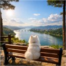 탄금대로 | 충주 탄금대 산책 후기｜평일에도 사람 많은 이유 + 강아지 산책 코스 추천 🐶