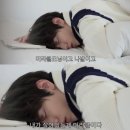 안녕하새우 이미지