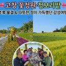 정은농장 | [초록 물결과 꽃향기에 취하다] 제208회 동래 안락산악회 5월의힐링,고창 감성여행 후기