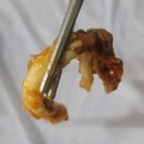 삼산곰장어조개구이 | 부산 송정해수욕장맛집 송정산곰장어조개구이 솔직후기 바가지쓴건가ㅜ
