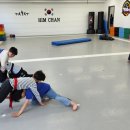 힘찬합기도주짓수태권도 | 다산동 힘찬합기도주짓수 | 운동은 몇살부터 해야하나요?