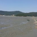 바지락체험