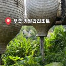 풀하우스2 | 푸켓 키말라 리조트 트리 풀 하우스 2박 후기(체크인, 객실, 수영장, 포토투어, 건기 날씨)