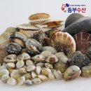 모듬 이미지