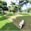 애원카페 덕소애견카페 남양주애견카페
