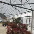 개정꽃농원 이미지