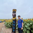 강주해바라기 축제 이미지