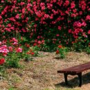 장미빌딩 이미지