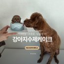 댕스라지 | 대구강아지케이크 | 대구수제간식 감성 케이크 댕스투유 후기