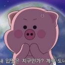 함덕 위드 자쿠지 | 제주 감성 숙소 :: 제주 신축 독채 펜션 자쿠지 홀드인함덕위드자쿠지