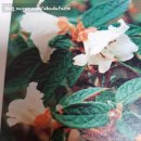 에바다농장 이미지