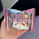 신남돈까스 이미지