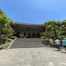 복돼지왕갈비 | [경주]1일차(2)_이제 입장료 무료 돼버린 <불국사> 부모님 가족 한번쯤 가볼만한 여행 관광지 주차 가격...