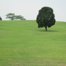 올림픽공원 이미지