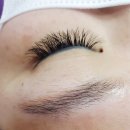 여시눈썹 이미지