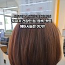 앙포레모리노헤어금암점