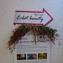 부산웨딩케어/부산 주례 네일샵 추천 :: 에끌라 뷰티 (화이트프렌치네일)