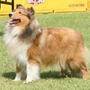 리버티벨 이미지