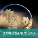 삼보원룸텔 네이버블로그