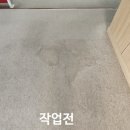 동해환경 | 동해 삼척 카페트청소 전문 │ 해양경찰서 강당 카페트청소 후기