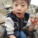 더카이트21 티스토리