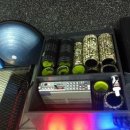 크로스핏 핏불 이미지