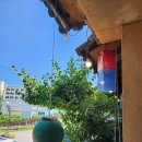 박터졌네 이미지